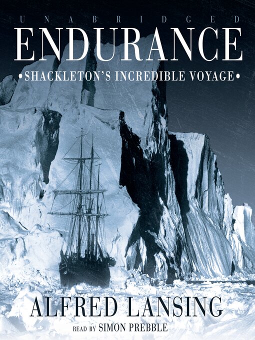 Cover image for Endurance